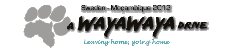 Wayawaya logo